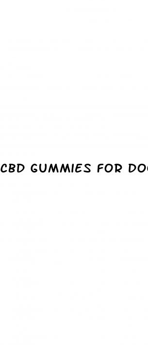 cbd gummies for dogs with cancer