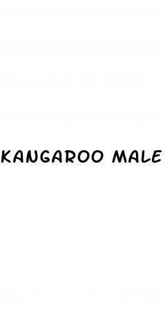 kangaroo male enhancement pill reviews