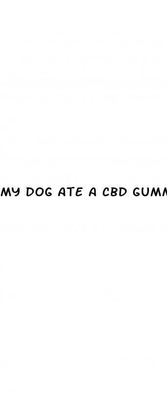 my dog ate a cbd gummy