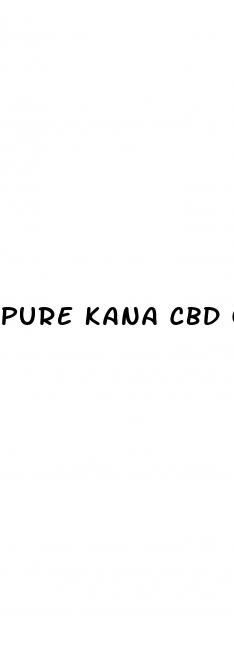 pure kana cbd gummie