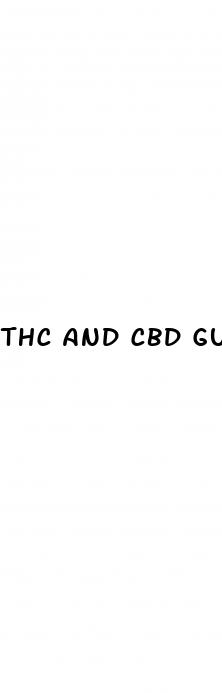 thc and cbd gummies difference