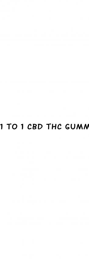 1 to 1 cbd thc gummy
