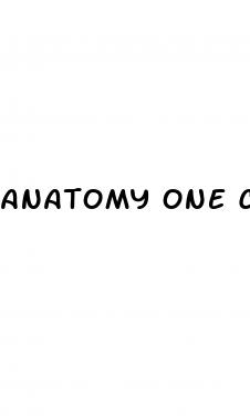 anatomy one cbd gummies where to buy