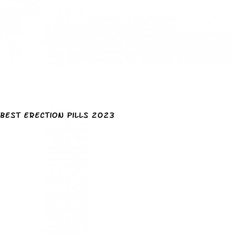 best erection pills 2023