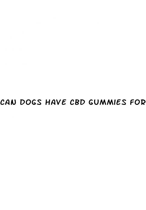 can dogs have cbd gummies for pain