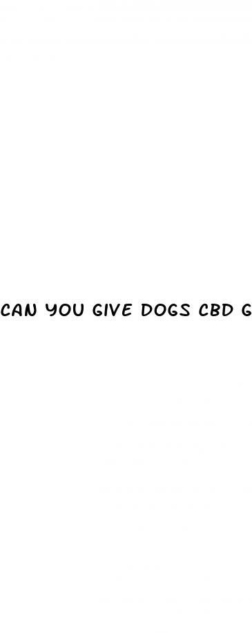 can you give dogs cbd gummies