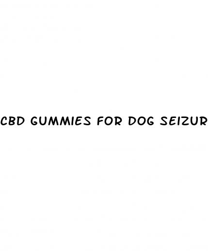 cbd gummies for dog seizures