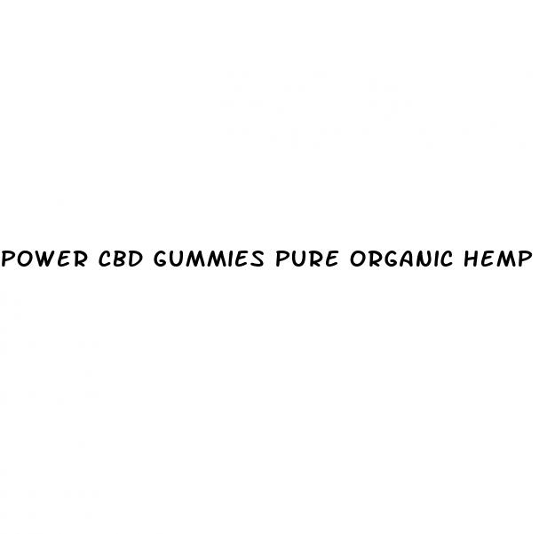 power cbd gummies pure organic hemp extract 300mg