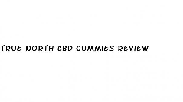 true north cbd gummies review