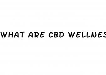 what are cbd wellness gummies