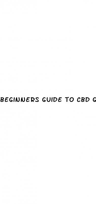 beginners guide to cbd gummies
