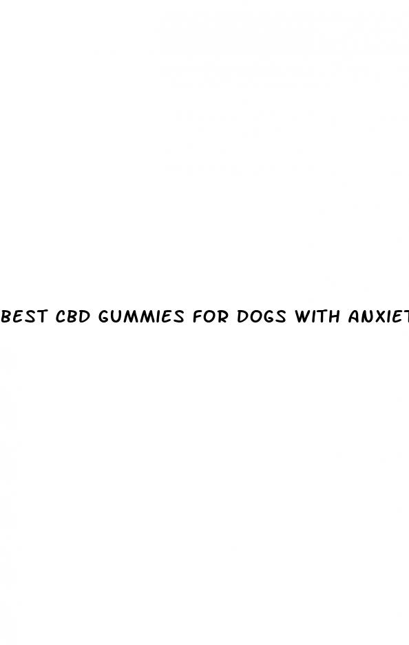 best cbd gummies for dogs with anxiety