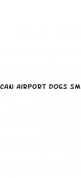 can airport dogs smell cbd gummies