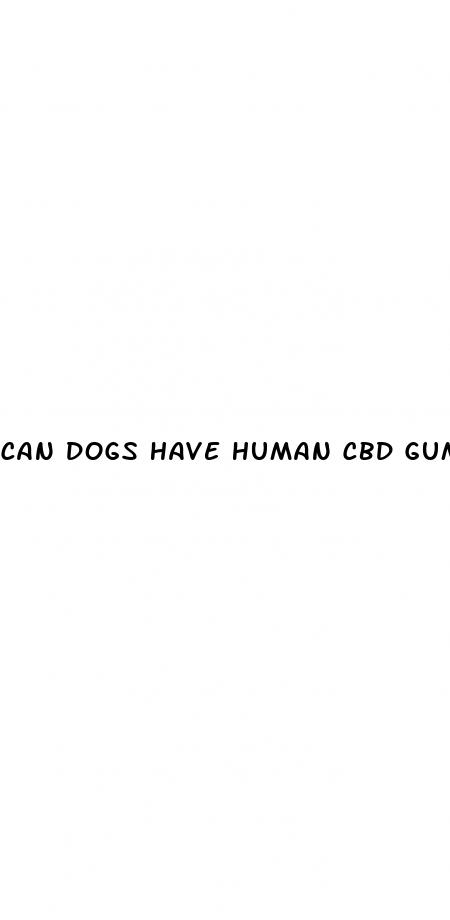 can dogs have human cbd gummies