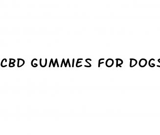 cbd gummies for dogs tractor supply