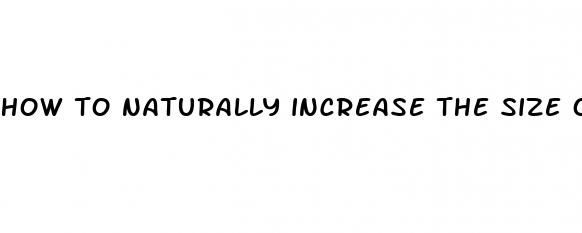 how to naturally increase the size of your penis