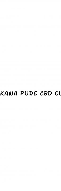 kana pure cbd gummies