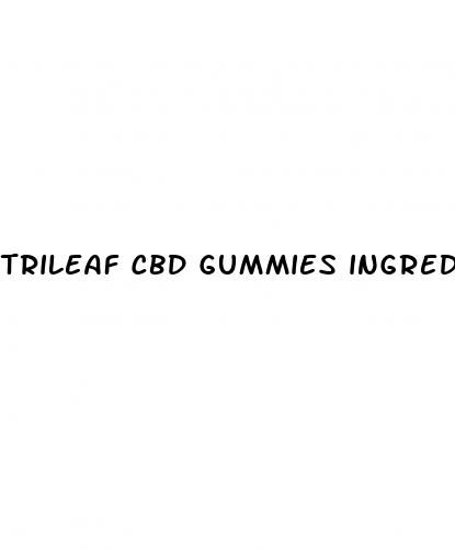 trileaf cbd gummies ingredients