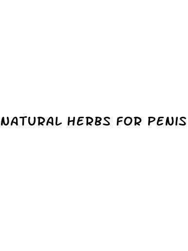 natural herbs for penis growth