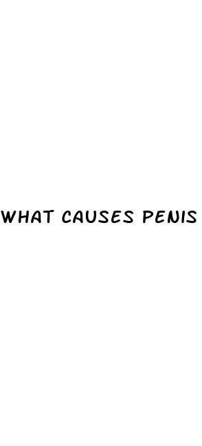 what causes penis growth