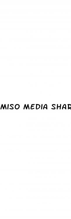 miso media shark tank