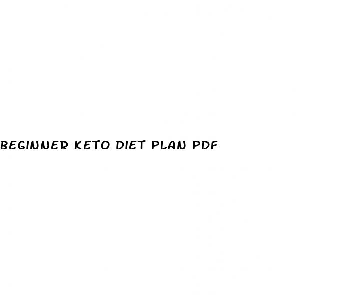beginner keto diet plan pdf
