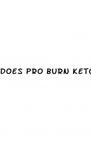 does pro burn keto gummies work