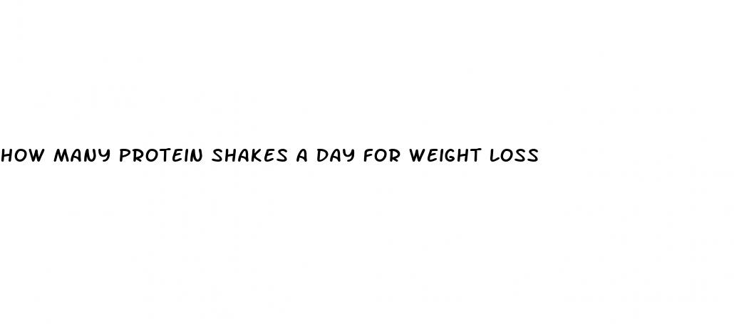 how many protein shakes a day for weight loss
