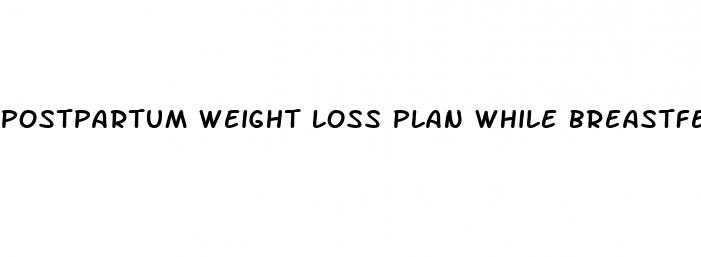 postpartum weight loss plan while breastfeeding
