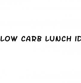 low carb lunch ideas for weight loss