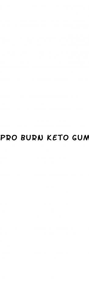 pro burn keto gummies review