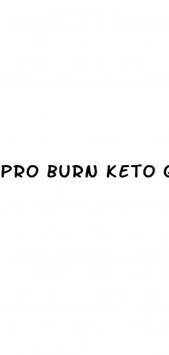 pro burn keto gummies