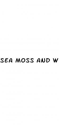 sea moss and weight loss