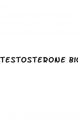 testosterone bigger penis