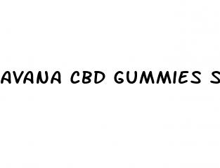 avana cbd gummies scam
