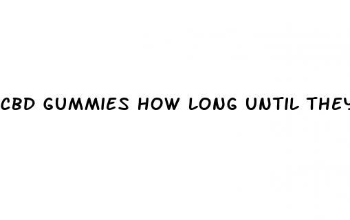 cbd gummies how long until they work
