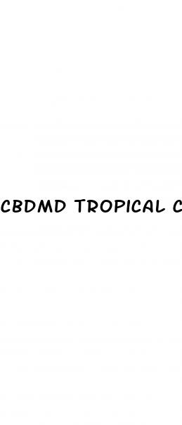 cbdmd tropical cbd gummies