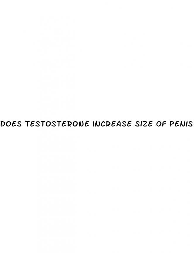 does testosterone increase size of penis
