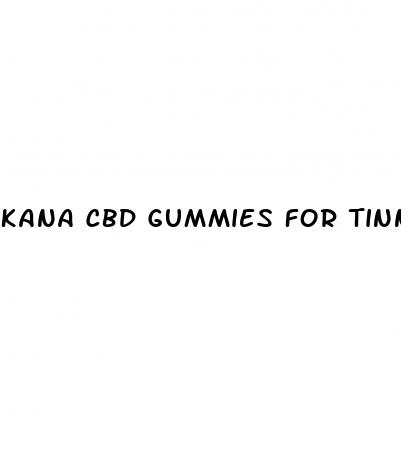 kana cbd gummies for tinnitus
