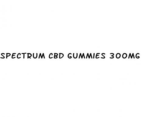 spectrum cbd gummies 300mg