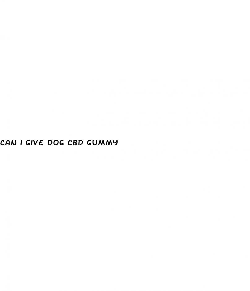 can i give dog cbd gummy