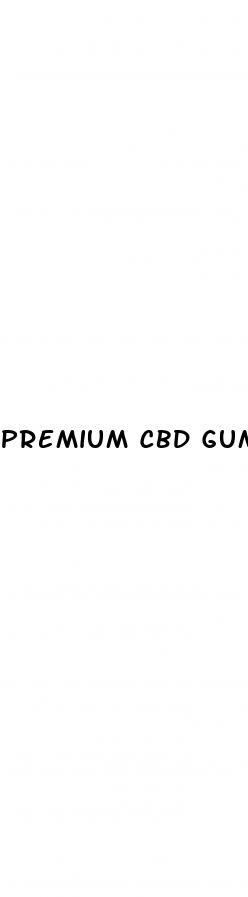 premium cbd gummies 300mg