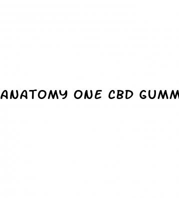 anatomy one cbd gummies reviews