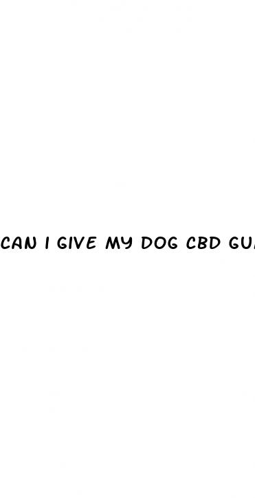 can i give my dog cbd gummy
