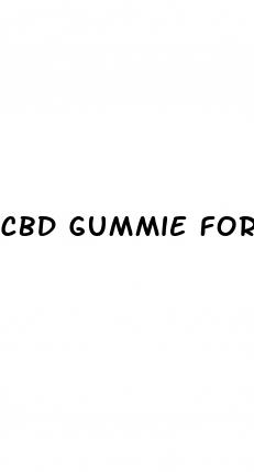 cbd gummie for dogs