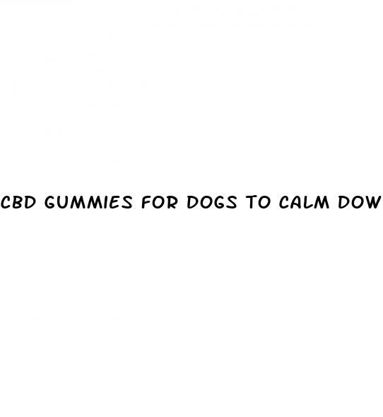 cbd gummies for dogs to calm down