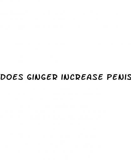 does ginger increase penis size
