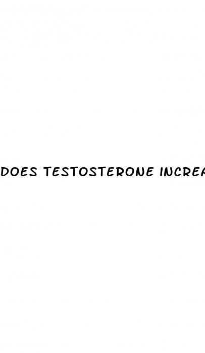 does testosterone increase penis size in adults