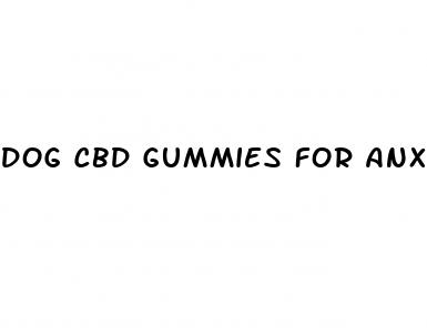 dog cbd gummies for anxiety