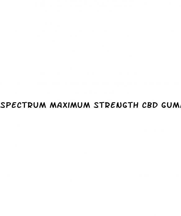 spectrum maximum strength cbd gummies